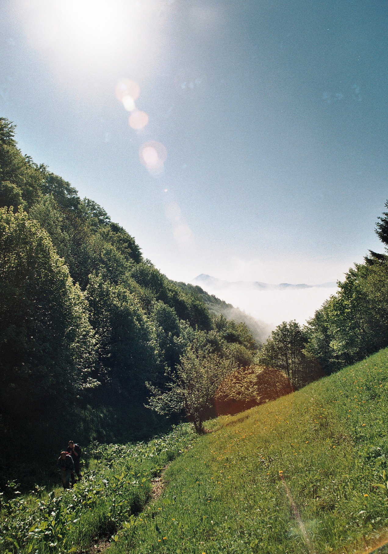 Photo08__8.jpg