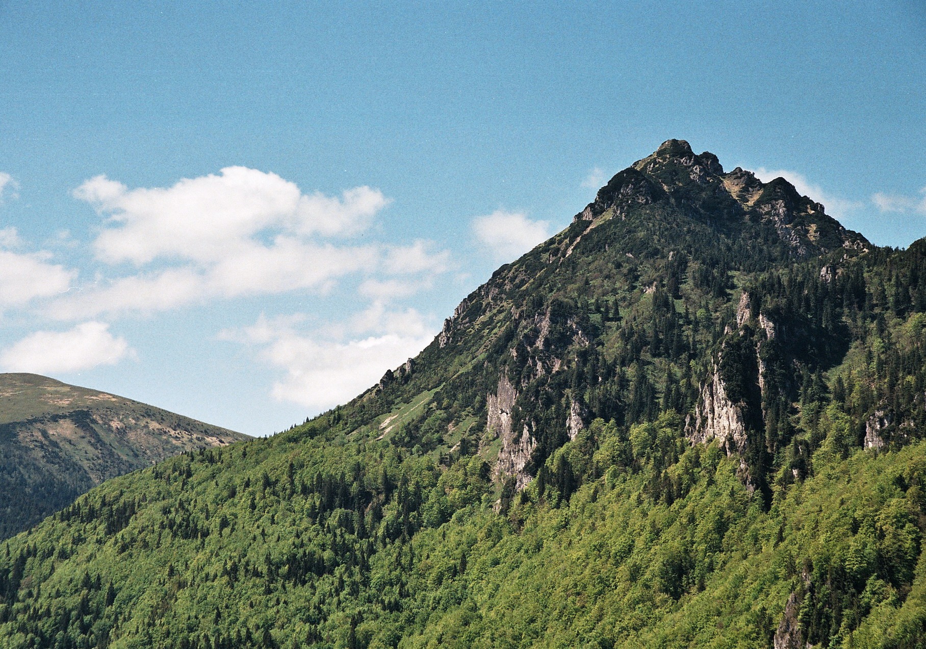 Photo10_10_.jpg