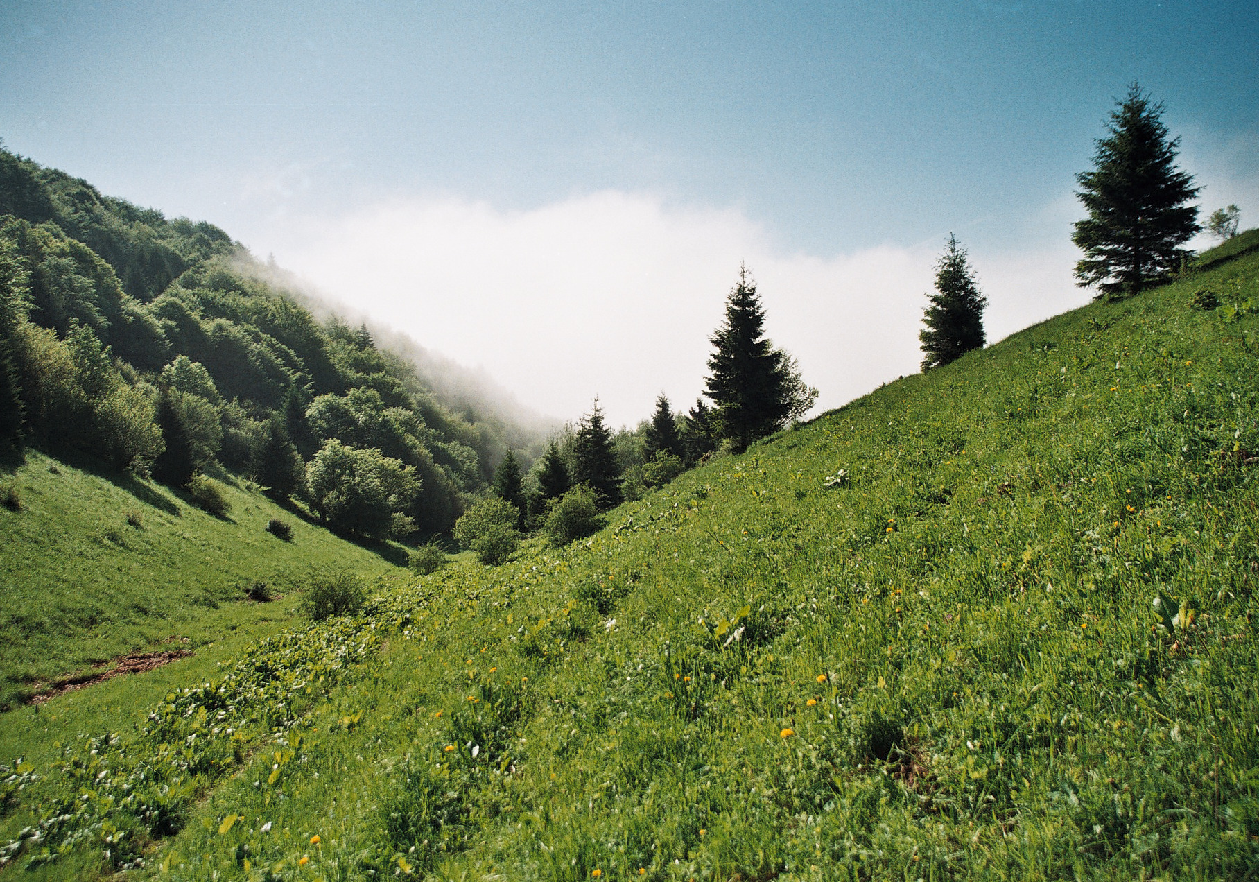 Photo10__10.jpg