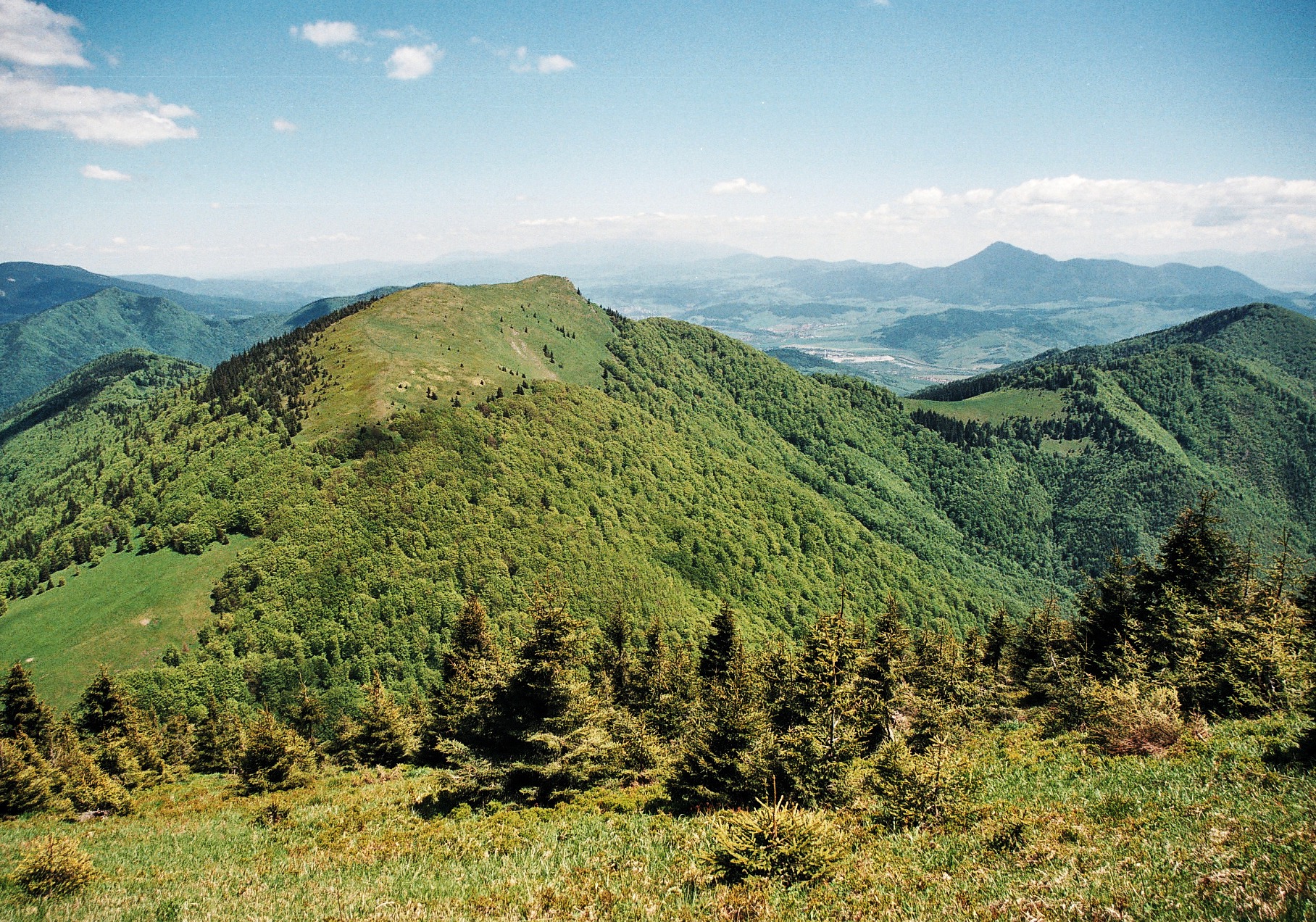 Photo14__14.jpg