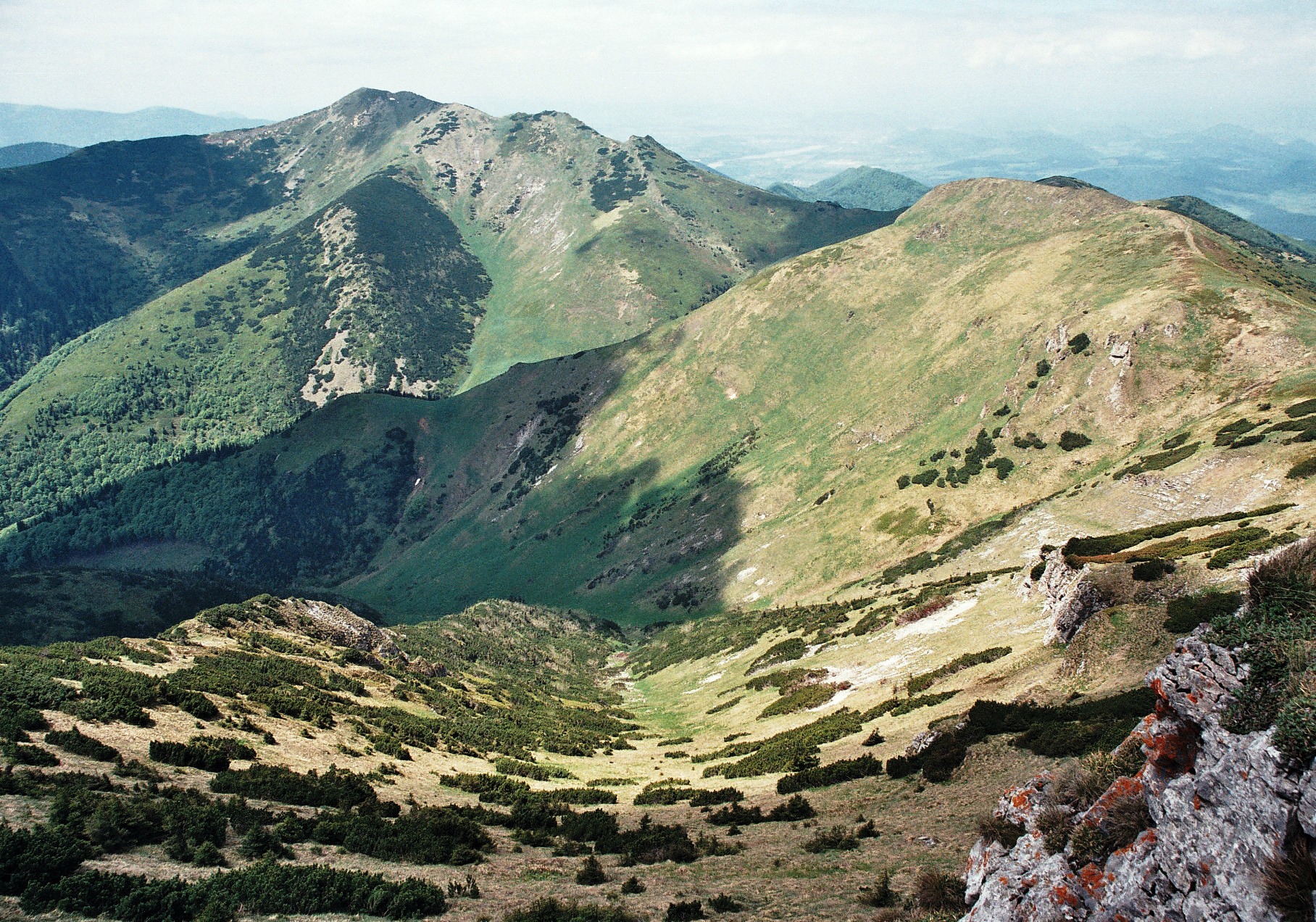 Photo03_3.jpg